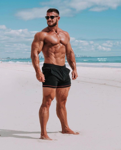 Matt O'Reilly