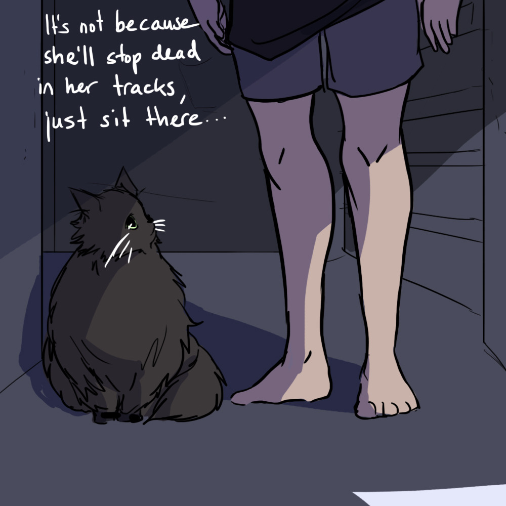 honey-andtar:  herzspalter:  A little story about my cat. These were originally slightly