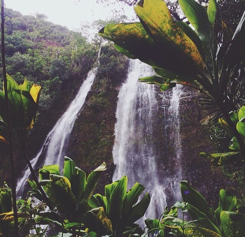 revengeofderosemoon:  Obsessed with waterfalls on We Heart It.