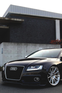 johnny-escobar:  Audi A5