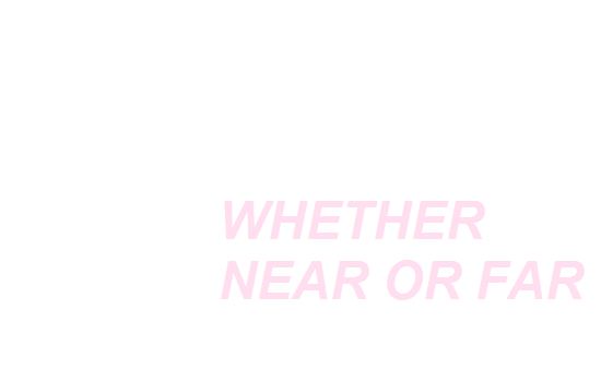 Stay.