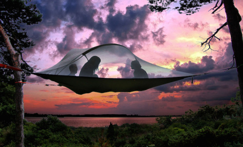 Tentsile Stingray © Alex Shirley-Smith