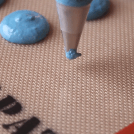 clearslime:#009 – Blastoise src: x | x | x | x | x | x | x | x | x pokédex series