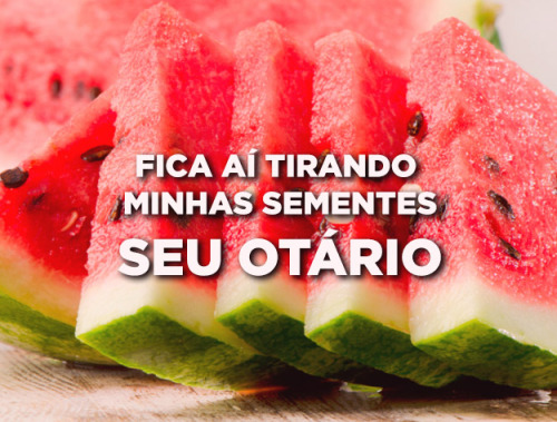 buzzfeedbrasil - 13 frutas que não têm papas na língua