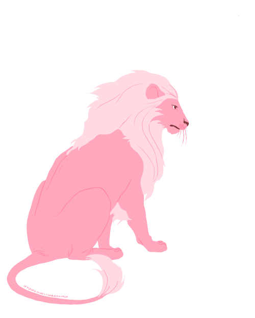 puhoi:  Steven's Lion 