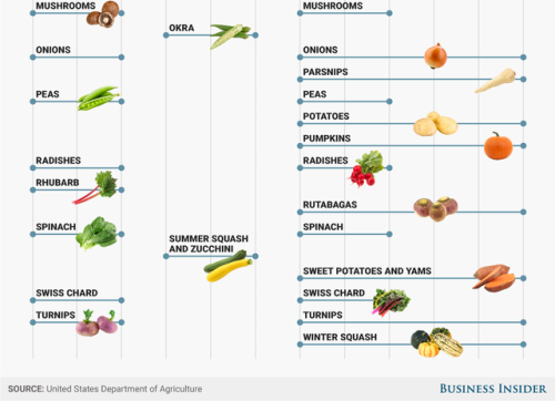 businessinsider - Here’s when fruits and vegetables are actually...