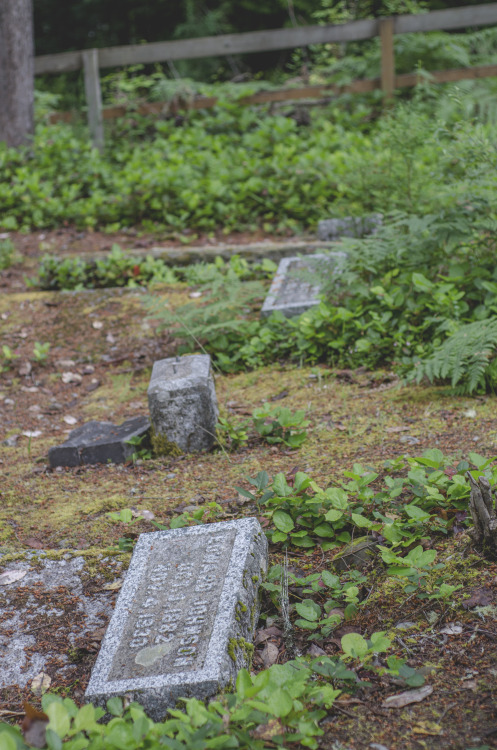 Abandoned Cemetery, Seabeck Washington