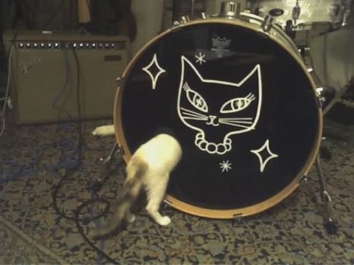 That&rsquo;s why a bass drum is the best part of a drum kit.