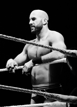 Superkickparty-Blog:  © 