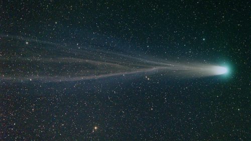 the-wolf-and-moon:

 Comet Leonard, Christmas Comet #Pictures#Space #Prebby... #Rebloob
