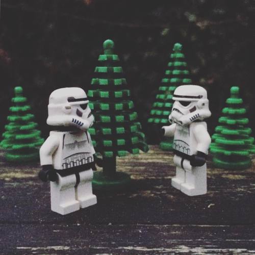 Looking for a christmas tree#christmastree #christmas #tree #starwars #starwarslegos #starwarslego #