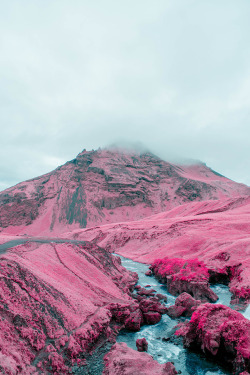 nevver: Return to Magenta, Al Mefer