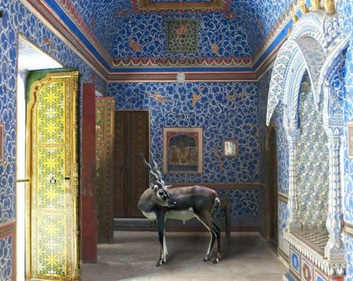 arpeggia: Karen Knorr - India Song, 2008-Click on each image for details.“Karen Knorr&rsq