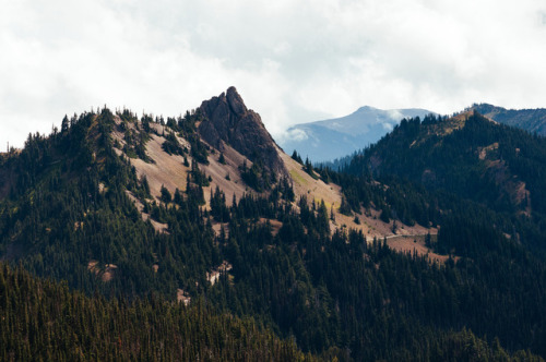 kovthephotographer: Steeple Rock Olympic National Park, Washington