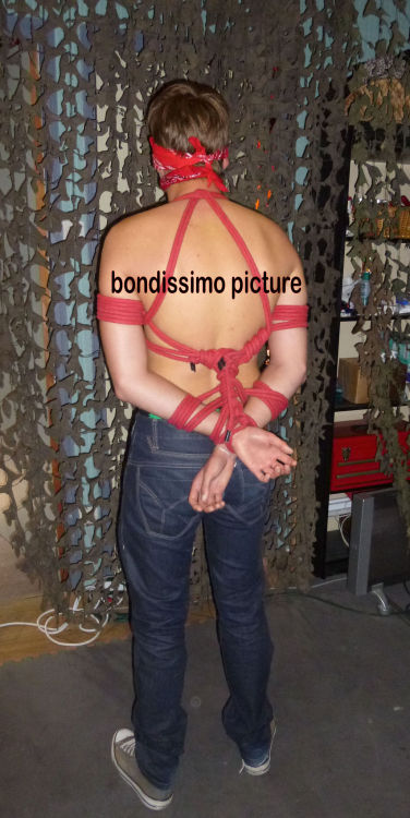 allstarboys:  tied up in converse 