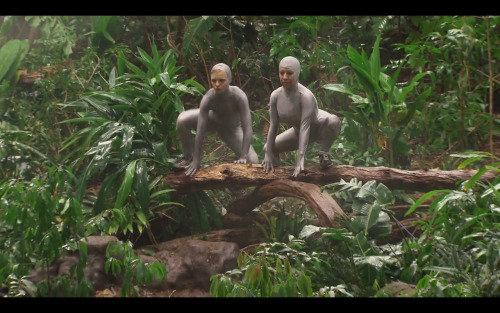 notkatniss:  IM GONNA SHIT MYSELF THEY HAD SOME PEOPLE IN MORPH SUITS PRETEND TO BE MONKEYS 