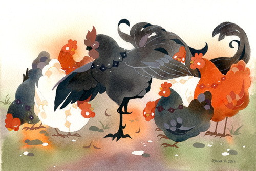 tir-ri:Ember, the peculiar rooster, dancing for his flock of fancy ladies. Originally posted in my p