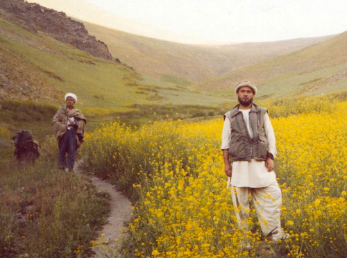 edenandink:  salahmah:  Spring in Afghanistan  this is so incredibly beautiful 