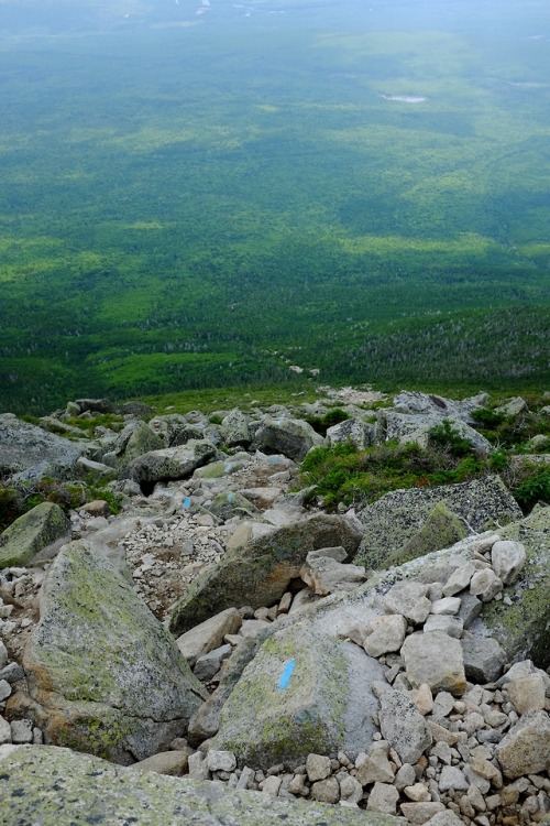 What hikes up must hike back down. Dawn cried three times. Sounds like a long-lost Mazzy Star song. 