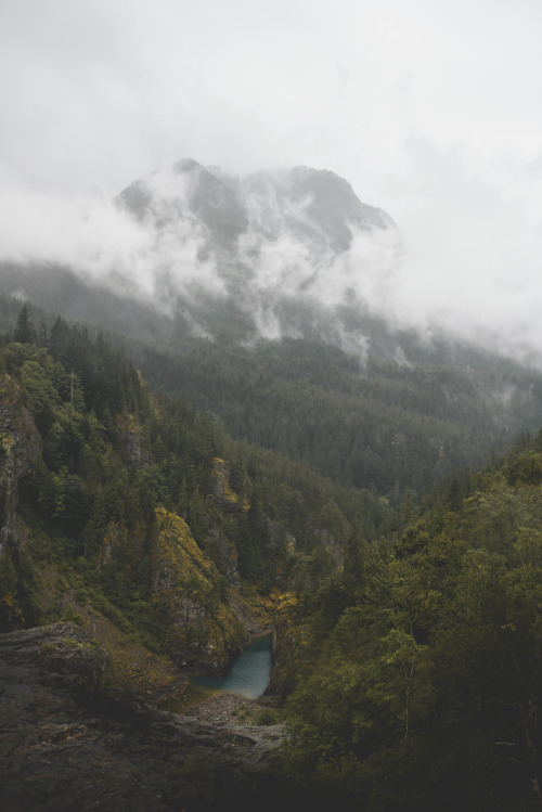 thechroniclesofdust: Rain soaked and loving it