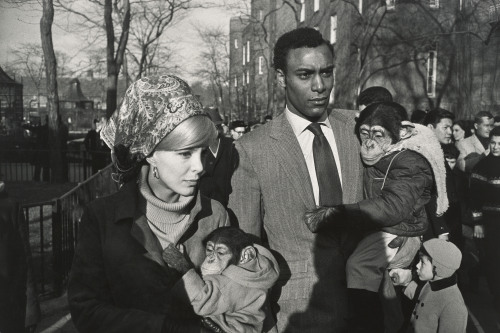 Garry Winogrand, Central Park Zoo, New York, 1967