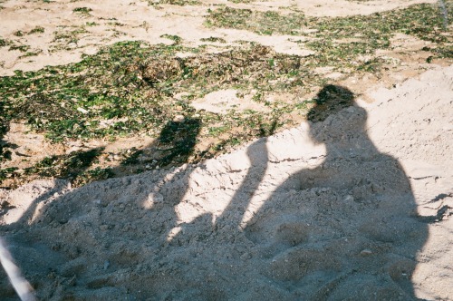 Luc sur mer, 2019 © Margaux Blouin