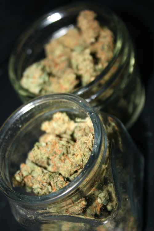 Bud makes me wiser.