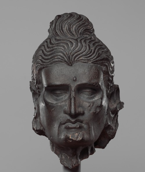 Head of fasting Buddha, Gandhara region.