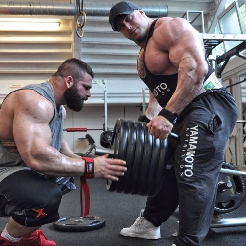 aron1265:Andri presti
