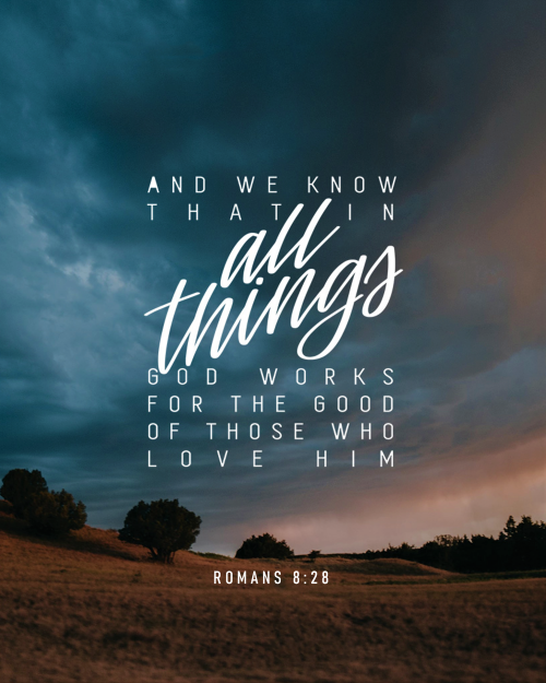 Romans 828 on Behance