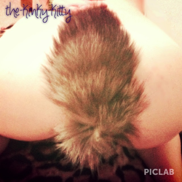 the-kinky-kitty:  More tail! Yay!