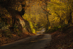 lori-rocks:  Dam Road (by Ian Dyer)   29/12/13