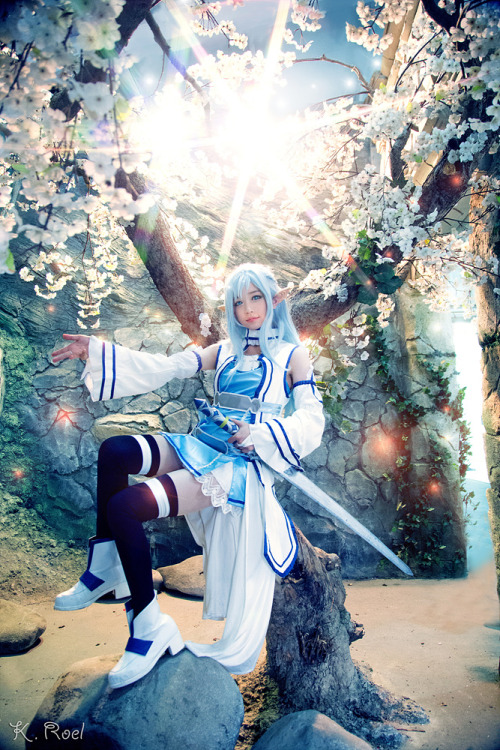 vandariwuuuuutcosplay:  Character: Asuna(ALO) Anime/Novel/Manga: Sword Art Online CN: Tomia World Co