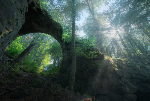 The Gate by Martin