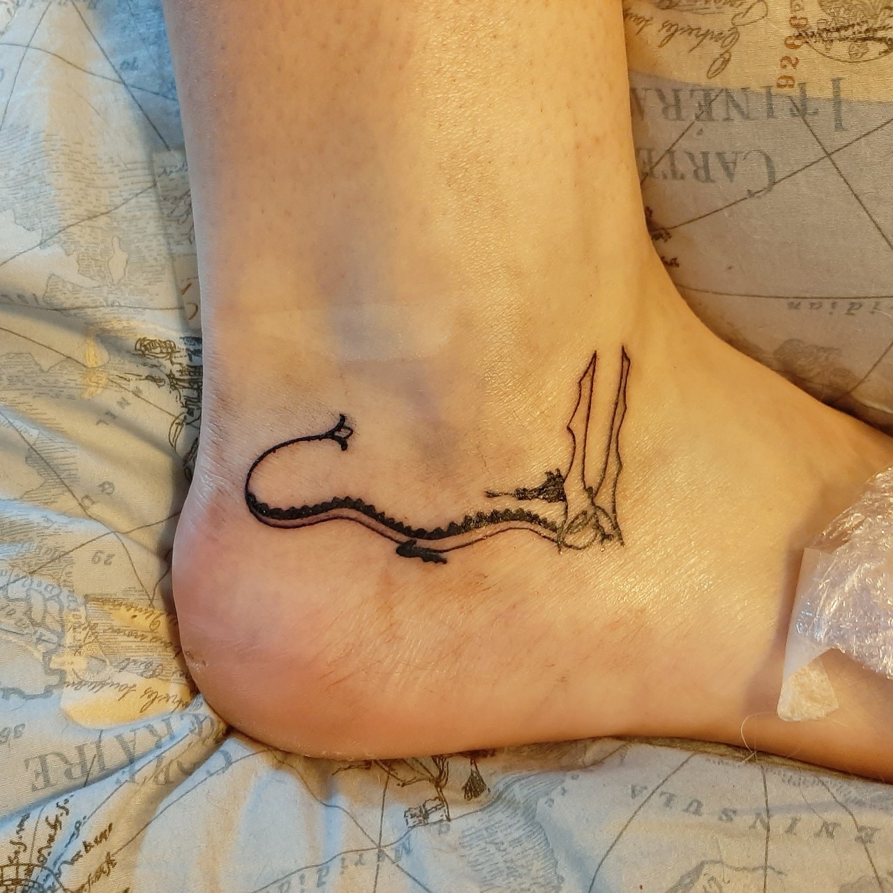 Smaug Tattoo Tumblr Posts Tumbral Com Smaug Tattoo Tumblr Posts Tumbral Com