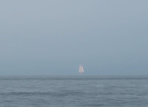 Foggy June