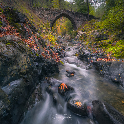 Autumn Bridge By Christos Zoumides 