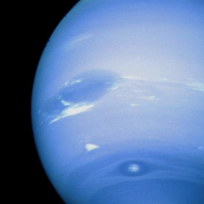 squid-star: neptune.