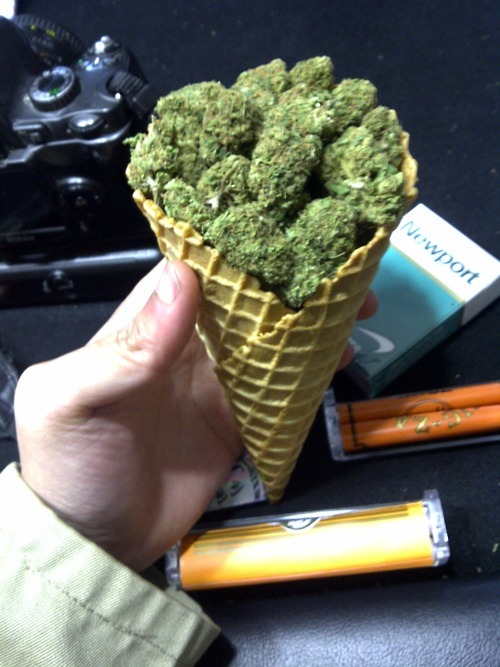 grow-your-weed:  Grow your own cannabis - Click here