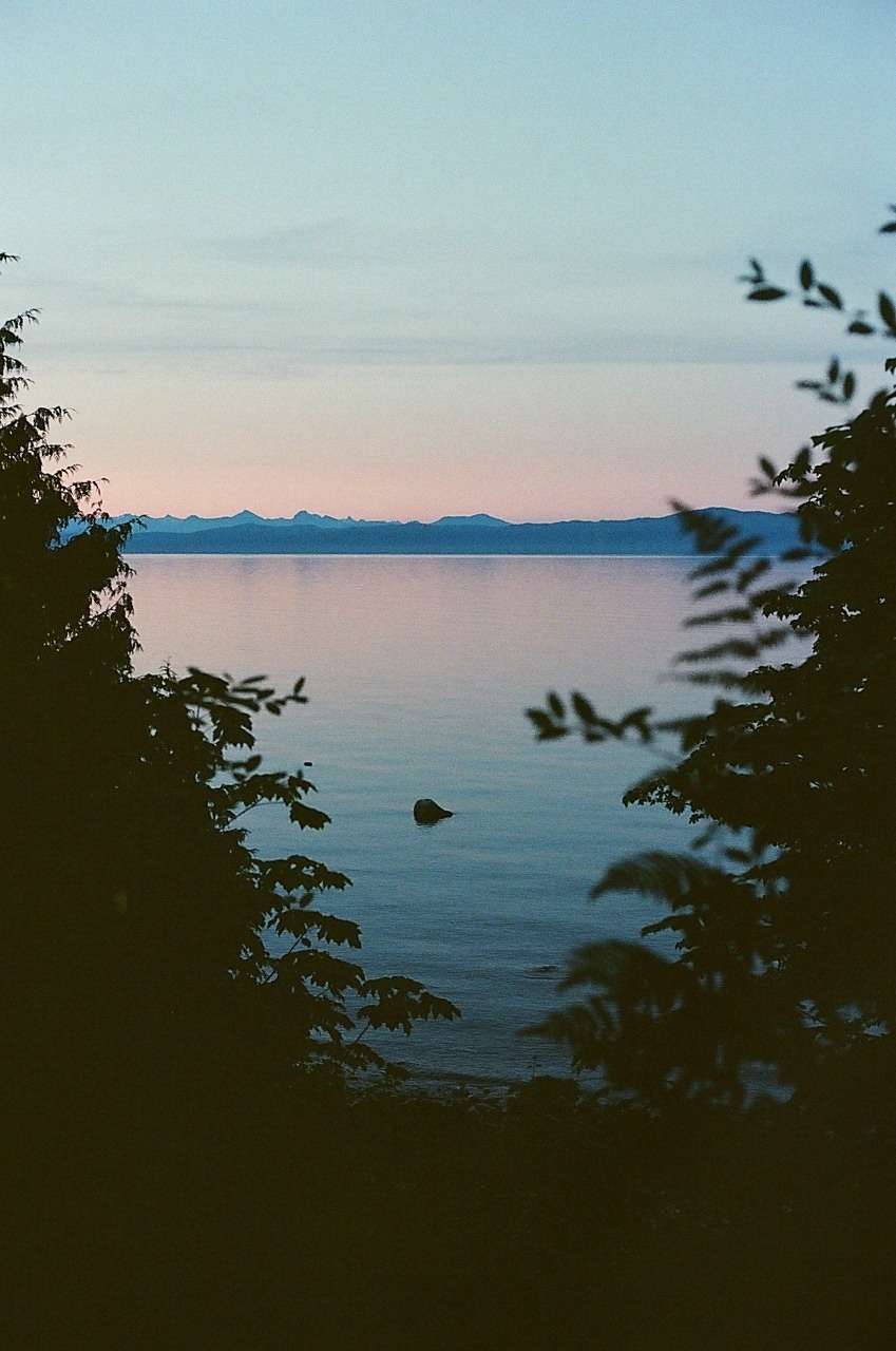bvddhist:  urbanthropologie:  underthe-waves:  underthe-waves:  last summer on film