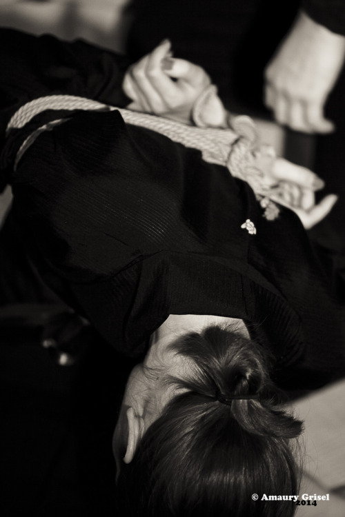 bondageisnotacrimeparis: Md Knot (tumblr) performing live kinbaku at la place des cordes d