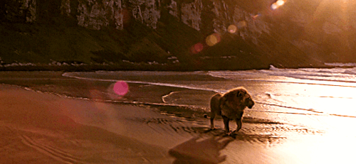 MY FAVOURITE 2000s MOVIES ↳ THE CHRONICLES OF NARNIA: THE LION, THE WITCH AND THE WARDROBE (2005) Dir.