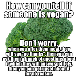 vegansidekick:  www.vegansidekick.com #animalrights #vegan