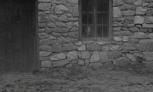 artfilmfan:  The Turin Horse (Béla Tarr, porn pictures