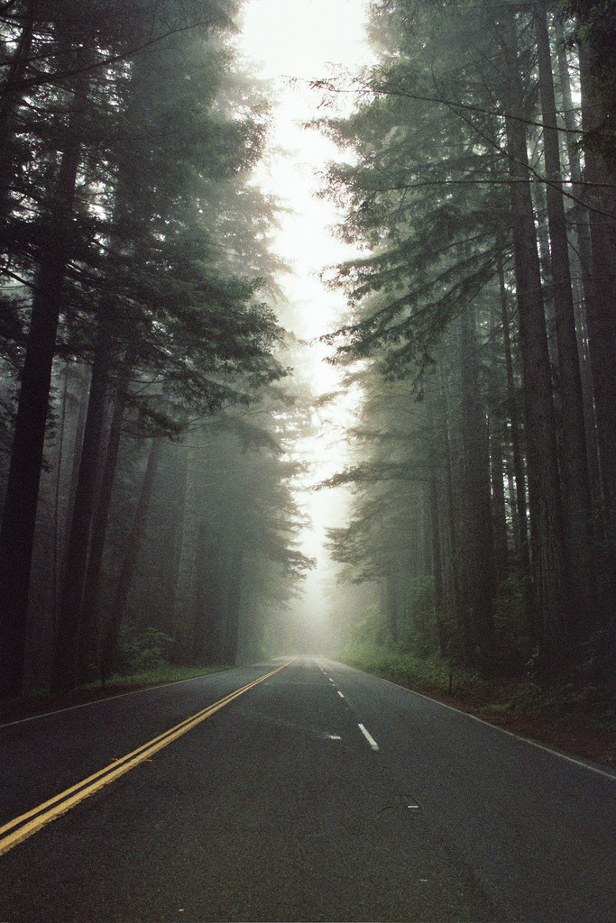 kevvn:  Elizabeth G. Browne 