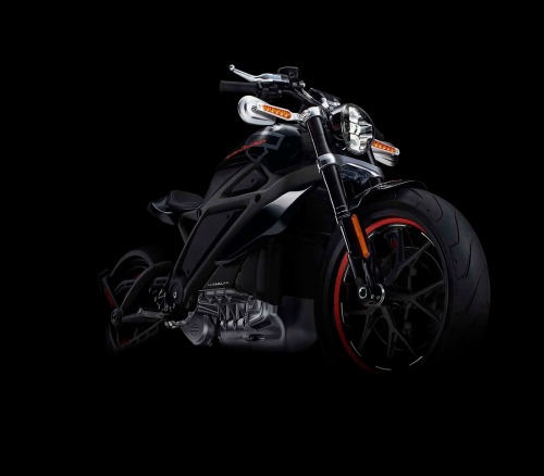 habermannandsons:  H-D Livewire Electric Bike