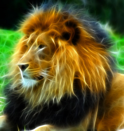 ollebosse:  Lion fractal by l3viathan2142 