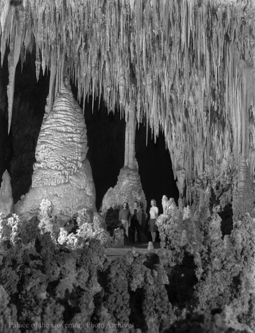 Temple of the Sun formation, Carlsbad Caverns National Park, New MexicoPhotographer: Ferenz FedorDat