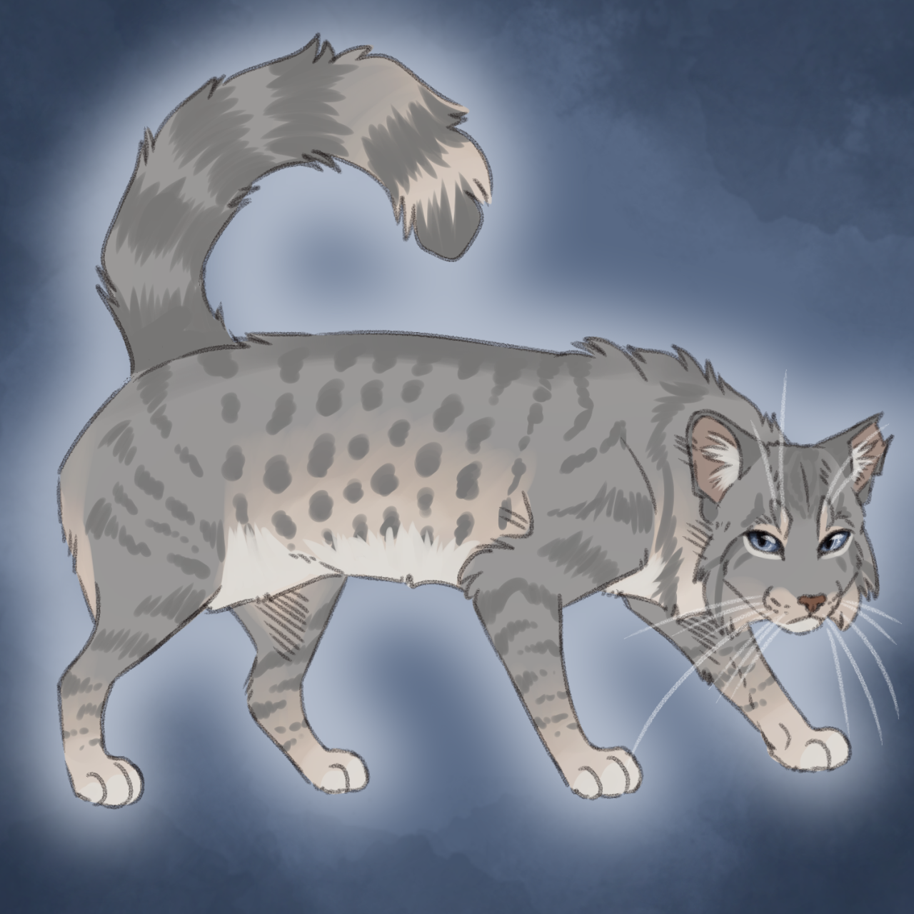 Slugs genetically accurate cats — Ashfur redo (Blue spotted tabby with low  white