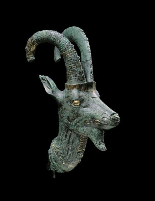 Head of an ibexHead of an ibex probably of a sacred barque. Made of bronze and gold. Third Intermedi